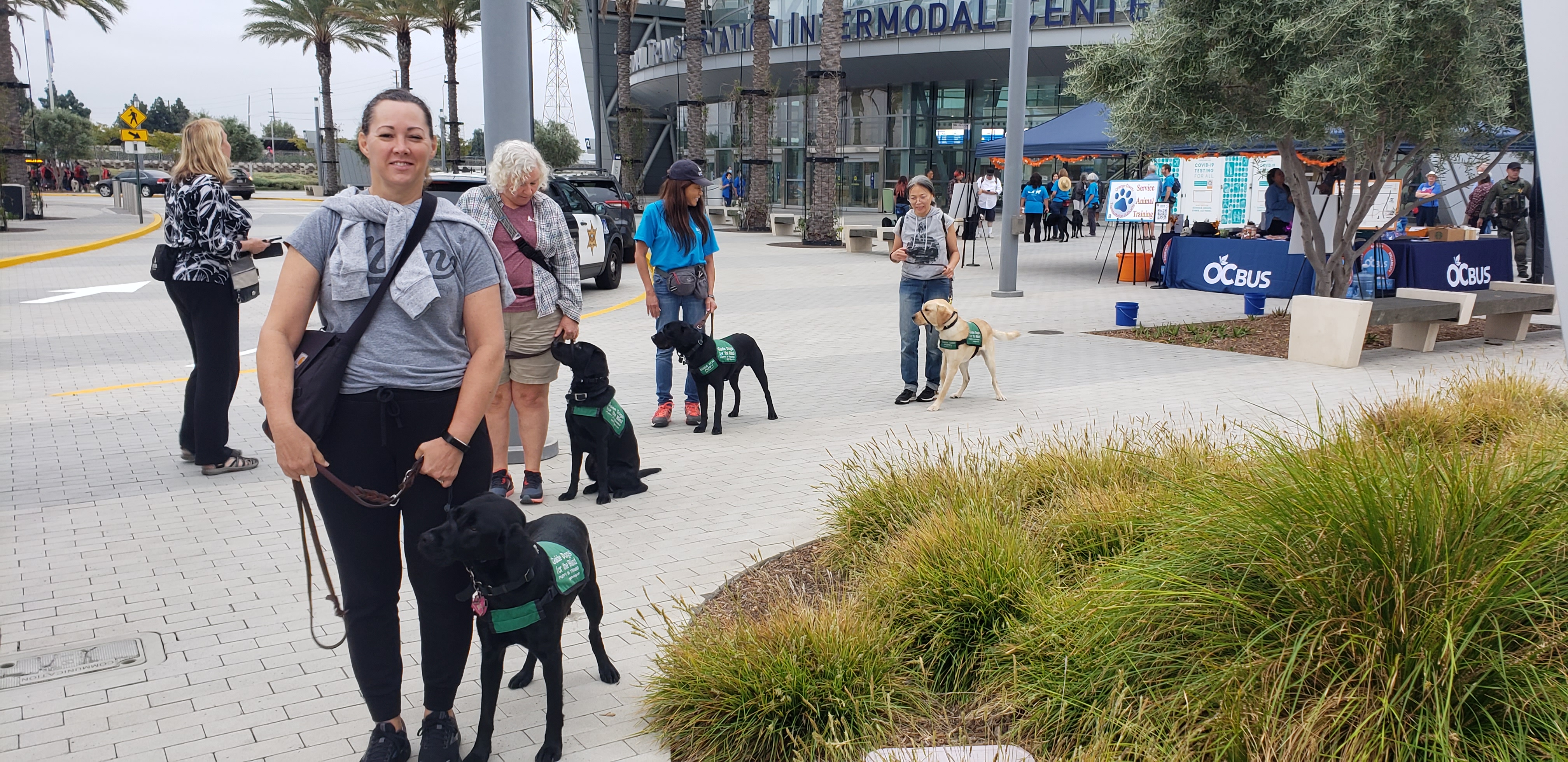 service animal trainers and animals